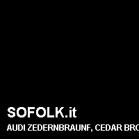 Colore pelle AUDI