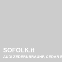 Tinta sedile in pelle AUDI