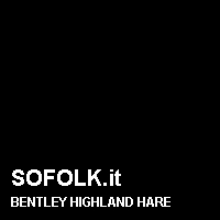 Colore pelle BENTLEY