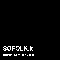 Colore pelle BMW