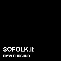 Colore pelle BMW