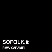 Colore pelle BMW
