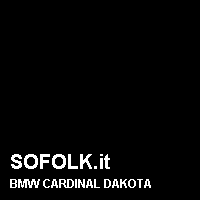 Colore pelle BMW