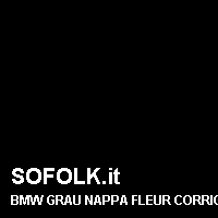 Colore pelle BMW