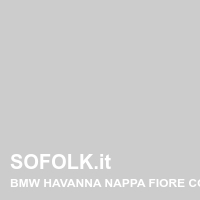 Tinta sedile in pelle BMW