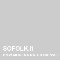 Tinta sedile in pelle BMW