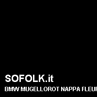 Colore pelle BMW