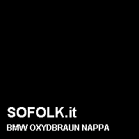 Colore pelle BMW