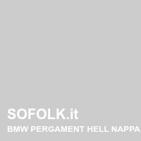 Tinta sedile in pelle BMW