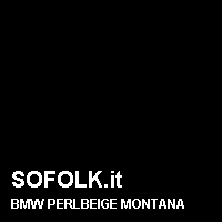 Colore pelle BMW