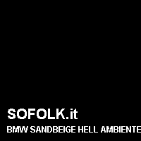 Colore pelle BMW