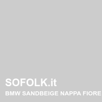 Tinta sedile in pelle BMW