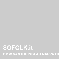 Tinta sedile in pelle BMW