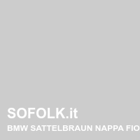 Tinta sedile in pelle BMW