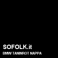 Colore pelle BMW