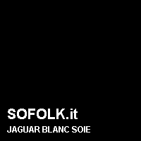 Colore pelle JAGUAR