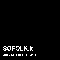 Colore pelle JAGUAR