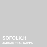 Tinta sedile in pelle JAGUAR