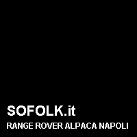 Colore pelle RANGE ROVER