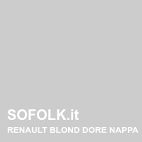 Tinta sedile in pelle RENAULT