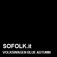 Colore pelle VOLKSWAGEN
