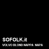 Colore pelle VOLVO