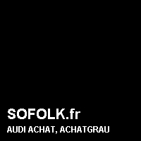 Teinte siège cuir AUDI