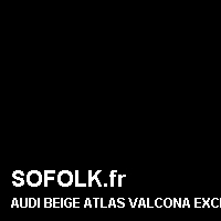 Teinte siège cuir AUDI