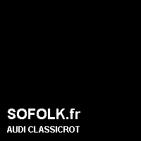 Teinte siège cuir AUDI