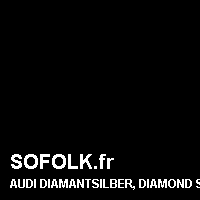 Teinte siège cuir AUDI