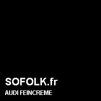 Teinte siège cuir AUDI