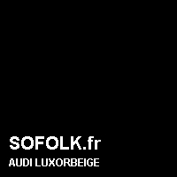 Teinte siège cuir AUDI