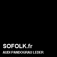 Teinte siège cuir AUDI