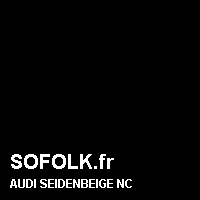 Teinte siège cuir AUDI