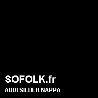 Teinte siège cuir AUDI