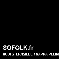 Teinte siège cuir AUDI
