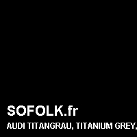 Teinte siège cuir AUDI