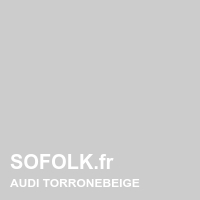 Teinte si&egrave;ge cuir AUDI