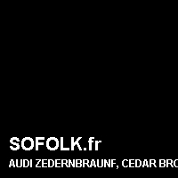 Teinte siège cuir AUDI