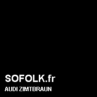 Teinte siège cuir AUDI