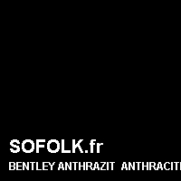 Teinte siège cuir BENTLEY