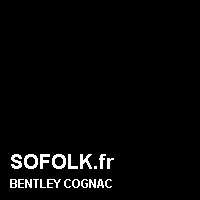 Teinte siège cuir BENTLEY