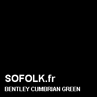 Teinte siège cuir BENTLEY
