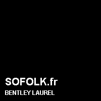 Teinte siège cuir BENTLEY