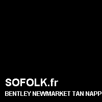 Teinte siège cuir BENTLEY