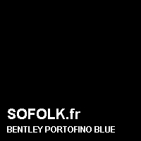 Teinte siège cuir BENTLEY