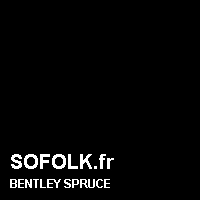 Teinte siège cuir BENTLEY