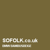 Leather seat color BMW