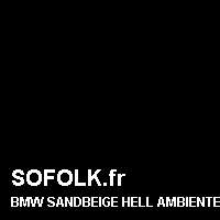 Teinte siège cuir BMW