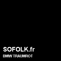 Teinte siège cuir BMW